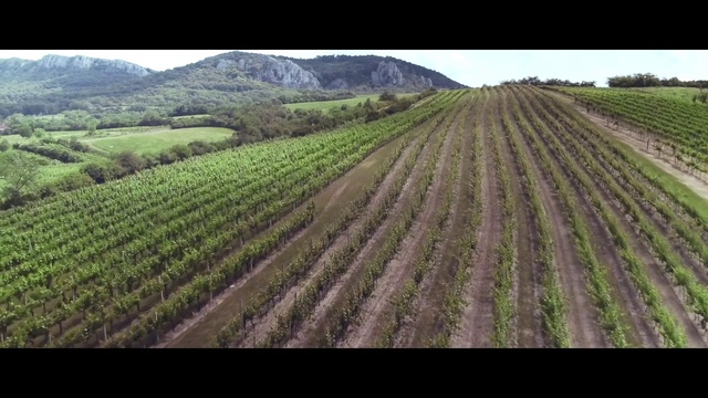 Video Reference: Plant, Sky, Natural landscape, Land lot, Mountain, Agriculture, Grass, Plain, Landscape, Grass family
