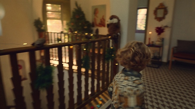 Video Reference: Property, Window, Plant, Wood, Interior design, Houseplant, Floor, Flooring, Building, Hardwood