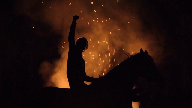 Video Reference: Horse, Flash photography, Gesture, Fireworks, Entertainment, Sky, Heat, Happy, Fun, Performing arts