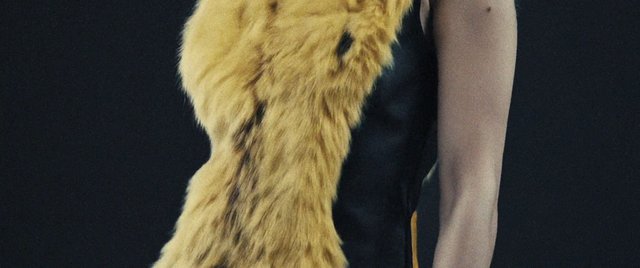 Video Reference: close-up, fur, animal costume, yellow, plush, texture, person arm, dark background, abstract, costume detail