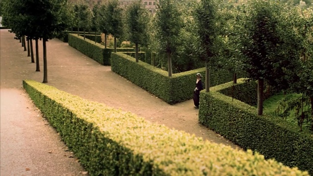 Video Reference: Plant, Green, Tree, Hedge, Land lot, Grass, Evergreen, Shrub, Landscape, Groundcover