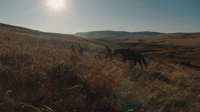 Video Reference: Sky, Plant community, Ecoregion, Plant, Natural landscape, Mountain, Cloud, Sunlight, Grassland, Grass