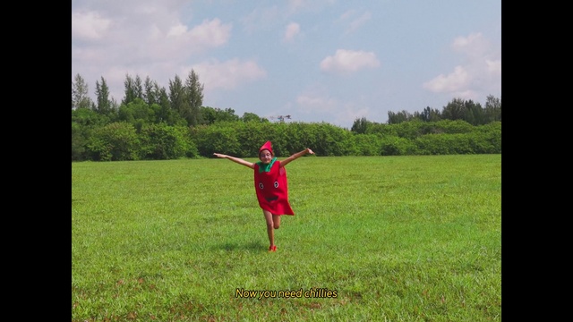 Video Reference: Sky, Cloud, Plant, Ecoregion, People in nature, Natural landscape, Happy, Land lot, Tree, Grass