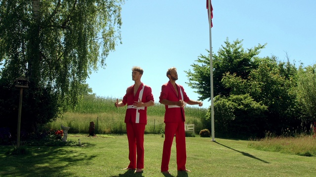 Video Reference: Plant, Sky, People in nature, Botany, Flag, Tree, Gesture, Grassland, Leisure, Shrub