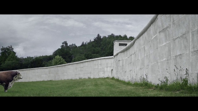 Video Reference: Cloud, Sky, Plant, Tree, Slope, Grass, Composite material, Rectangle, Landscape, Concrete