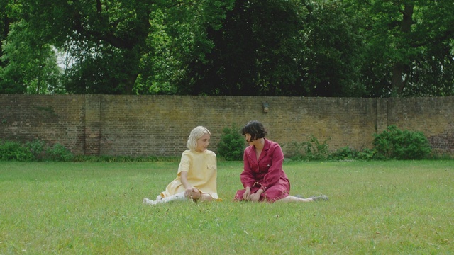 Video Reference: Plant, People in nature, Tree, Grass, Leisure, Groundcover, Recreation, Grassland, Meadow, Lawn