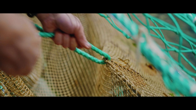 Video Reference: Wood, Grass, Nail, Thumb, Electric blue, Close-up, Art, Magenta, Fashion accessory, Human leg