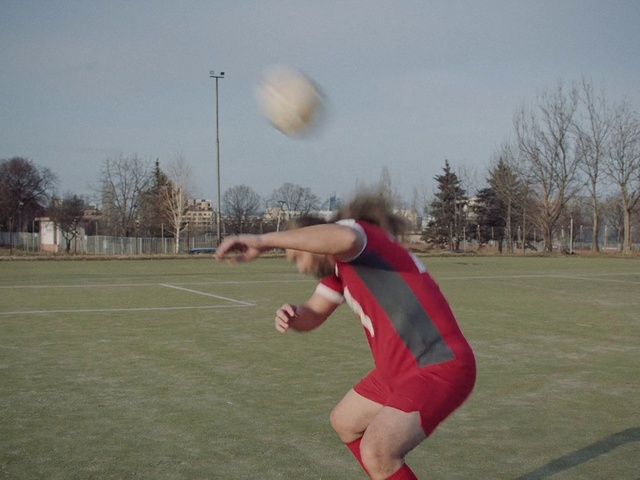 Video Reference: Playing sports, Sports uniform, Sky, Sports equipment, Plant, Shorts, Ball, Tree, Player, Grass