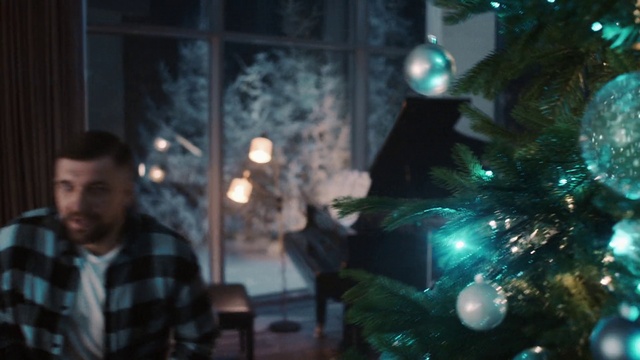 Video Reference: Christmas tree, Plant, Christmas ornament, Ornament, Christmas decoration, Evergreen, Holiday ornament, Tartan, Midnight, Sky