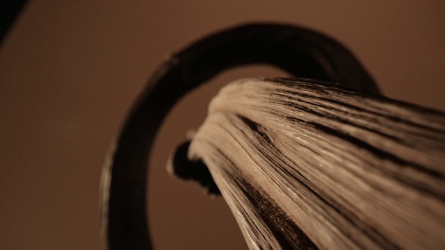 Video Reference: Hair, Head, Eye, Eyelash, Iris, Grey, Wood, Feather, Wire, Monochrome photography