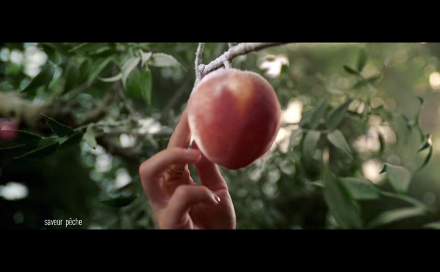 Video Reference: Plant, Fruit, Food, Flower, Staple food, Ingredient, Bush tomato, Gesture, Natural foods, Plum tomato