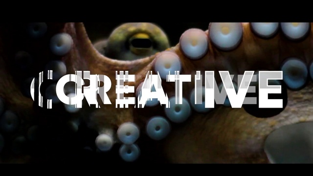 Video Reference: Head, Eye, Eyebrow, Mouth, Eyelash, Flash photography, Font, Iris, Art, Circle