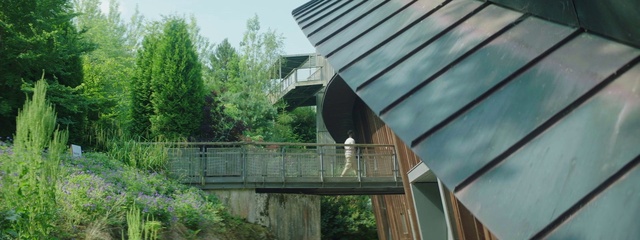 Video Reference: Plant, Daytime, Property, Building, Architecture, Tree, Wood, Fence, Sky, Shade