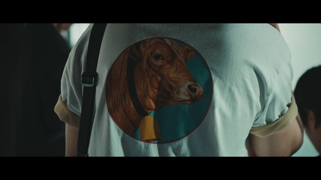 Video Reference: Dog, Carnivore, Sleeve, Dog breed, Liver, Working animal, Companion dog, Snout, Sporting Group, Vehicle door
