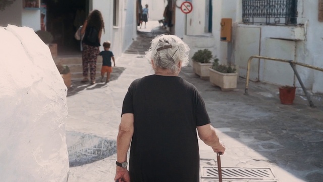 Video Reference: Watch, Plant, Temple, Road surface, Flooring, T-shirt, Event, Houseplant, Recreation, Sidewalk