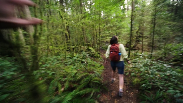 Video Reference: Plant, Plant community, Ecoregion, Shorts, Natural landscape, People in nature, Terrestrial plant, Tree, Biome, Wood