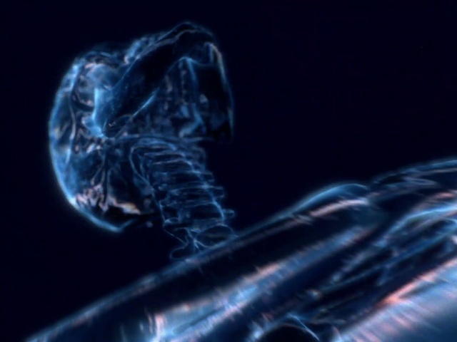 Video Reference: Organism, Electric blue, Bioluminescence, Gas, Science, Sleeve, Darkness, Water, Macro photography, Art