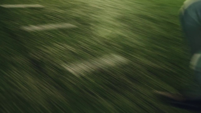 Video Reference: Water, Wood, Grey, Tints and shades, Plant, Tree, Grassland, Landscape, Pattern, Sky