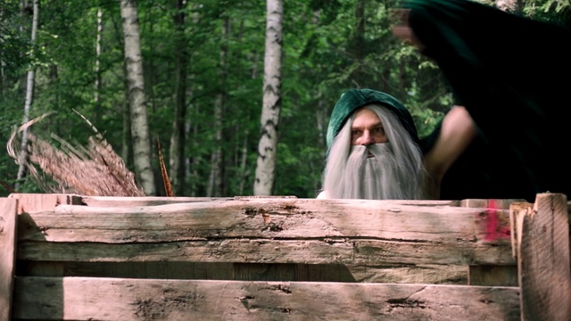 Video Reference: People in nature, Wood, Tree, Forest, Grass, Trunk, Leisure, Landscape, Recreation, Woodland