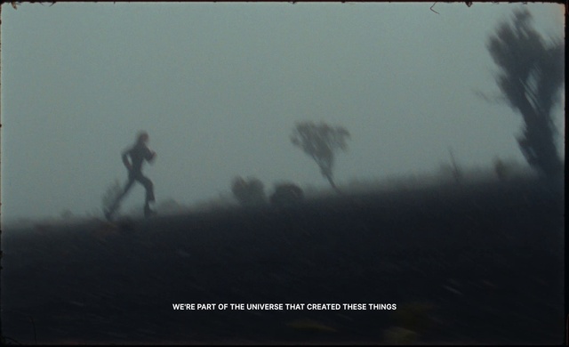 Video Reference: Sky, Fog, Organism, Natural landscape, Plant, Tree, Cloud, Landscape, People in nature, Haze