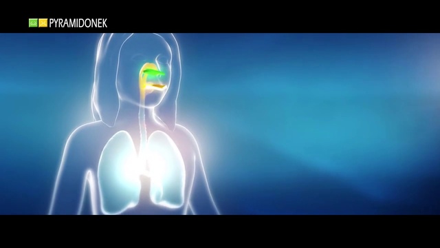 Video Reference: Sleeve, Gas, Elbow, Font, Electric blue, Art, Lens flare, Knee, Space, Darkness