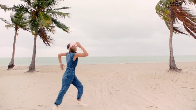 Video Reference: Sky, Water, Cloud, People on beach, Tree, People in nature, Beach, Gesture, Arecales, Coastal and oceanic landforms