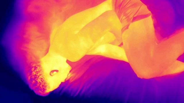 Video Reference: Petal, Orange, Flower, Plant, Gas, Heat, Sky, Automotive lighting, Electric blue, Magenta