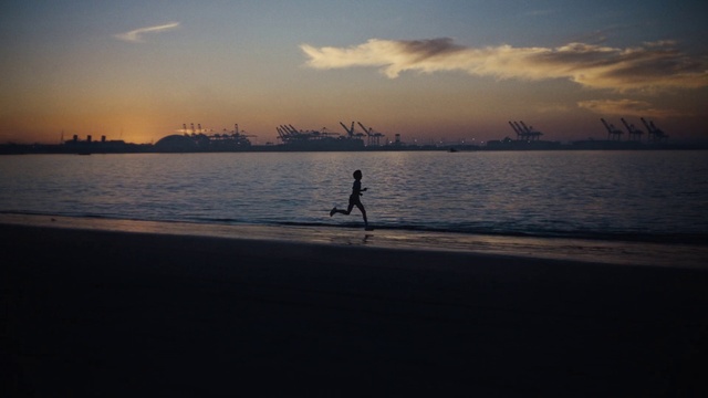 Video Reference: Cloud, Water, Sky, Plant, Afterglow, Dusk, Sunlight, Sunset, Beach, Coastal and oceanic landforms