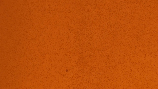 Video Reference: Brown, Amber, Orange, Tints and shades, Peach, Soil, Pattern, Landscape, Carmine