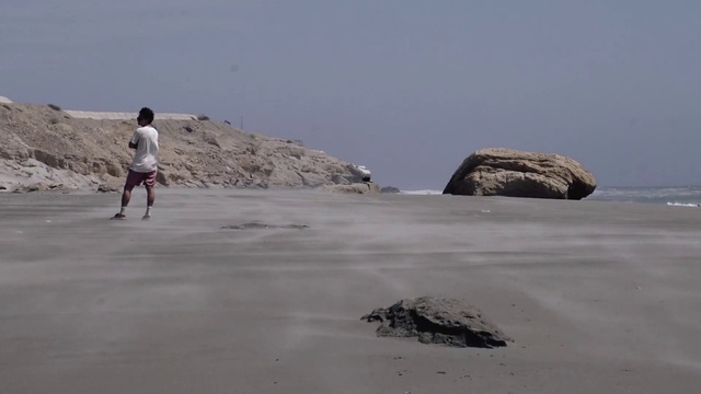Video Reference: Water, Sky, Shorts, Coastal and oceanic landforms, Wood, Landscape, Beach, Calm, Formation, Shore