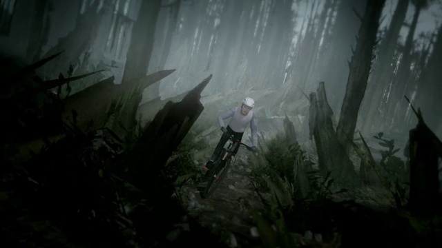 Video Reference: Plant, Organism, Vegetation, Terrestrial plant, Grass, Wood, Grass family, Forest, Cg artwork, Underwater