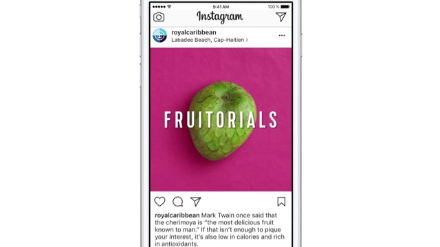 Video Reference: Terrestrial plant, Rectangle, Natural foods, Magenta, Font, Screenshot, Vegan nutrition, Art, Annual plant, Flowering plant