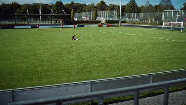 Video Reference: Sports equipment, Plant, Soccer, Player, Sky, Land lot, Ball game, Tree, Grass, Flooring