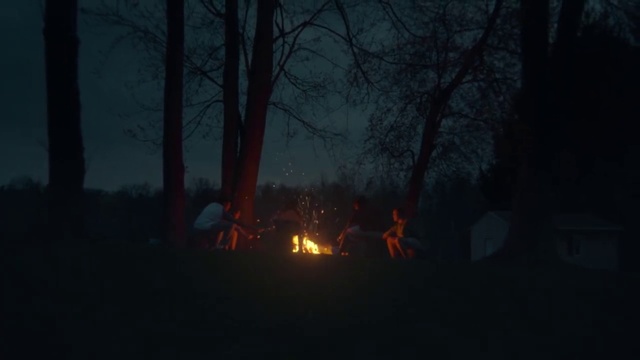 Video Reference: Sky, Tree, Branch, Plant, Fire, Wood, Heat, Gas, Flame, Tints and shades