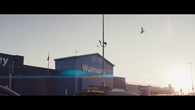 Video Reference: Sky, Street light, Building, City, Flag, Tints and shades, Air travel, Bird, Facade, Horizon