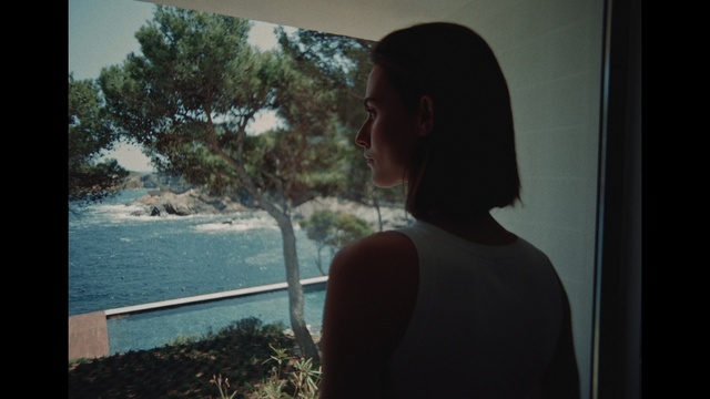 Video Reference: Water, Plant, Tree, Tints and shades, Sky, Fun, Travel, Lake, Room, Eyewear