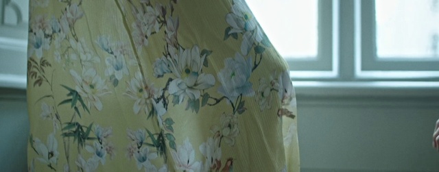 Video Reference: Flower, Plant, Textile, Sleeve, Wood, Waist, Grey, Porcelain, Pattern, Linens
