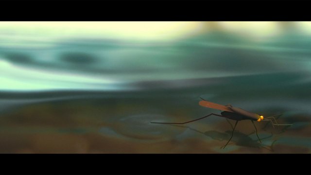 Video Reference: insect, bug, macro, close-up, blurred, reflection, surface, abstract, nature, outdoor, legs, wings, small animal, soft focus