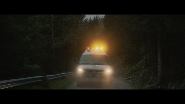 Video Reference: Car, Land vehicle, Vehicle, Tire, Automotive lighting, Motor vehicle, Road surface, Asphalt, Automotive design, Tree