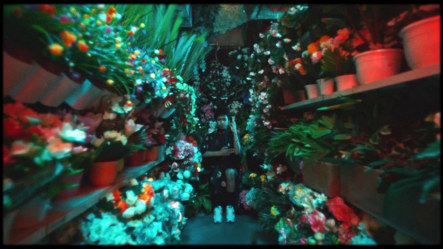 Video Reference: Window, Green, Leaf, Christmas ornament, Organism, Plant, Christmas decoration, Ornament, Event, Electric blue