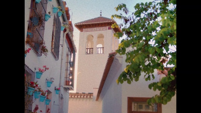 Video Reference: Building, Window, World, House, Fixture, Wood, Facade, Tints and shades, Paint, Tree