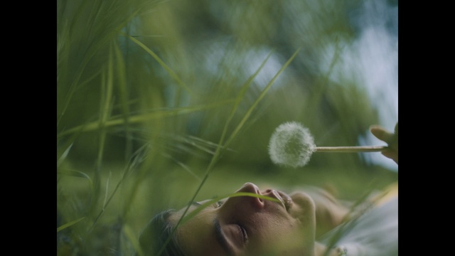 Video Reference: Plant, Eyelash, Flash photography, People in nature, Terrestrial plant, Grass, Happy, Natural landscape, Tree, Twig