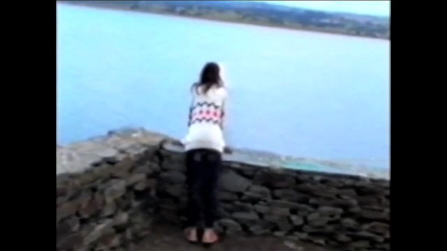 Video Reference: person, waterfront, shoreline, stone wall, outdoors, landscape, back view, overlook, coastline, calm water, travel, scenic