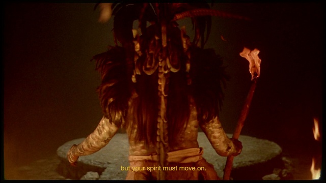 Video Reference: Human body, Performing arts, Entertainment, Cg artwork, Heat, Window, Event, Musician, Tree, Concert