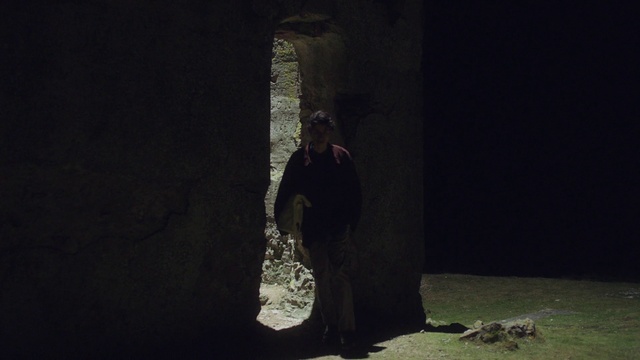 Video Reference: Flash photography, Tree, Grass, Tints and shades, Darkness, Midnight, Shadow, Room, Forest, Personal protective equipment