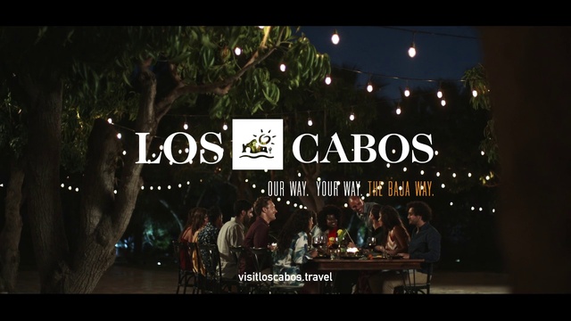 Video Reference: Lighting, Musical instrument, Font, Entertainment, Performing arts, Music, Event, Musical instrument accessory, Midnight, Musician