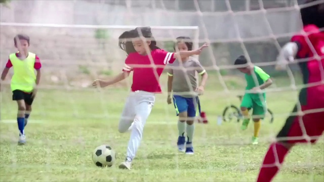 Video Reference: Shorts, Sports equipment, Vertebrate, Soccer, Football, Player, Mammal, Ball, Grass, Leisure