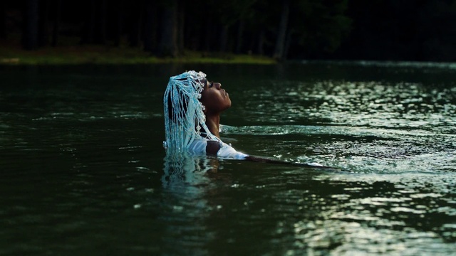 Video Reference: Water, Water resources, Plant, Flash photography, Lake, People in nature, Happy, Tree, Wood, Grass