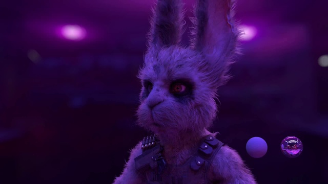 Video Reference: Purple, Felidae, Whiskers, Violet, Fawn, Rabbits and Hares, Small to medium-sized cats, Snout, Plant, Entertainment