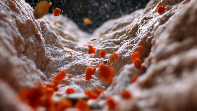 Video Reference: Water, Liquid, Fluid, Plant, Orange, Organism, Natural landscape, Freezing, Ingredient, Formation